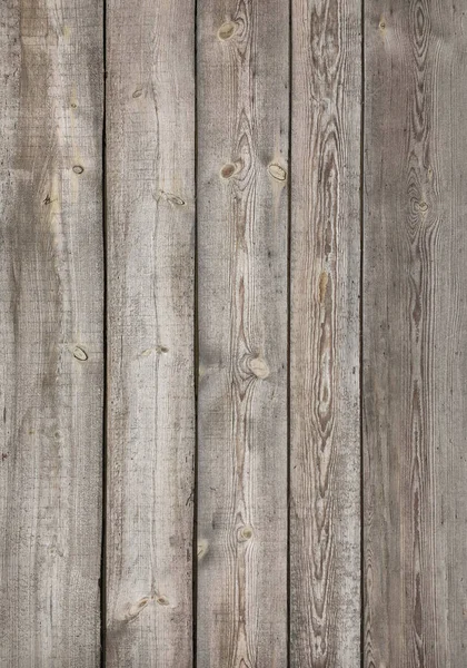 가벼운 천연목 — 스톡 사진