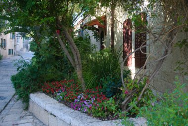 ev duvar, kapı ve pencere çiçekli