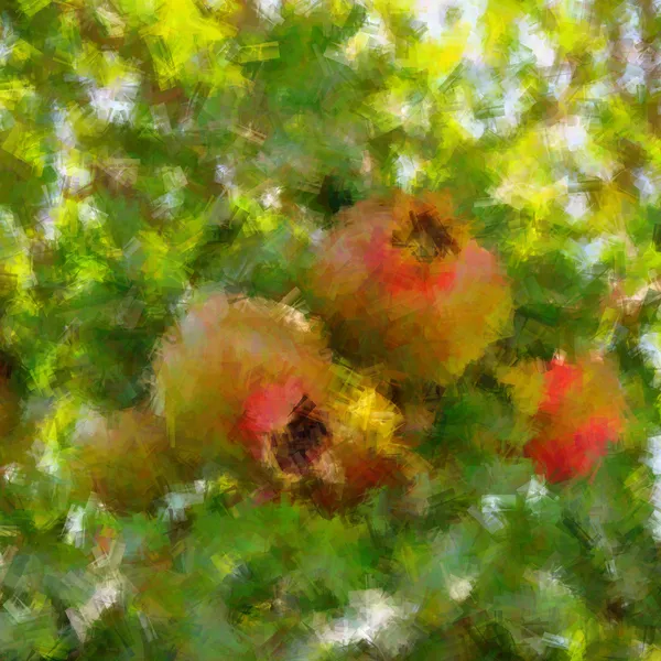 Granada de cerca en el árbol, estilo de pintura — Foto de Stock