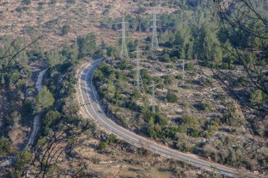 Üstten Görünüm yolu üzerinde büyük bir orman, İsrail koydu