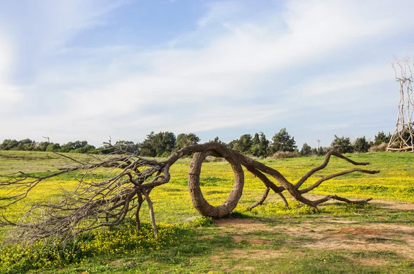 Sculpture tree — Stock Photo, Image