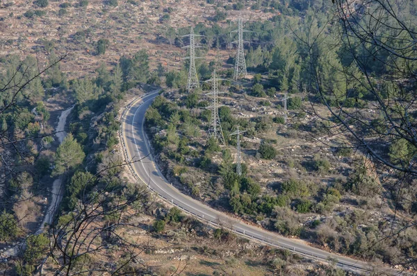 The top view on the road laid through a large forest, Israel — Stock Photo, Image