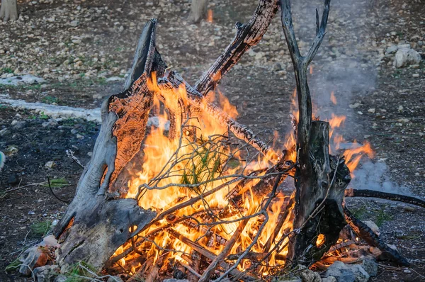 Bonfire — Stock Photo, Image