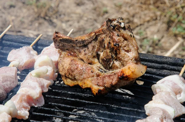 Steak et shish kebab sur le barbecue — Photo