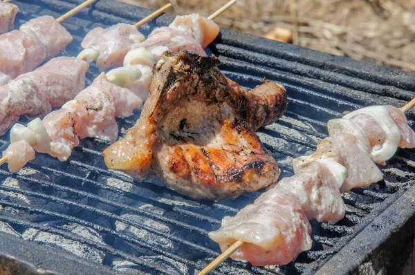 Steak et shish kebab sur le barbecue — Photo