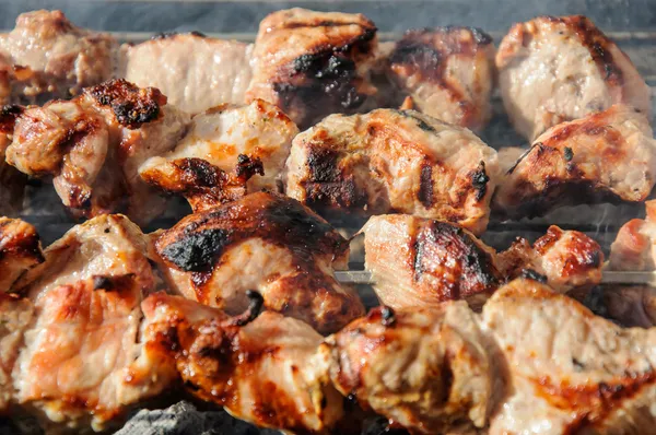 Juicy roasted kebabs and  on the BBQ — Stock Photo, Image