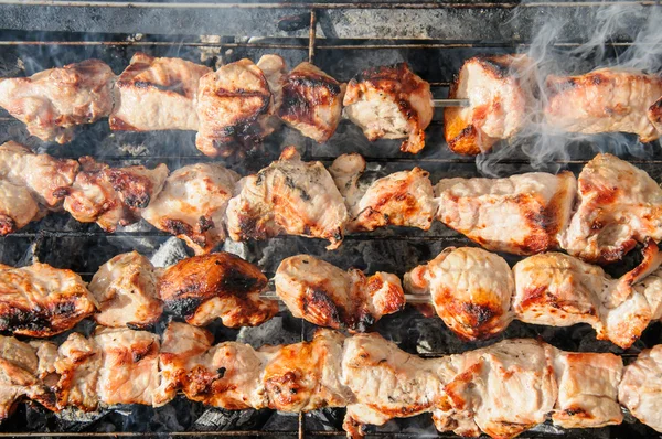 Juicy roasted kebabs and  on the BBQ — Stock Photo, Image