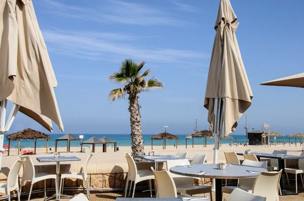 Şemsiye ile deniz ve plaj bar