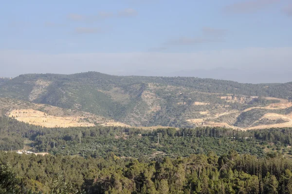 Bergsommerlandschaft — Stockfoto