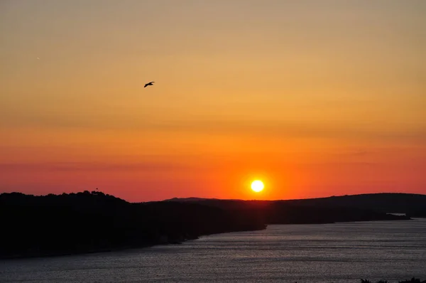 Red Sunset seagull silhouettes. Seagull in sunset sky. Flying seagulls over the sea at sunset. Seagulls at sea . Birds flying back home at sunset seaside of Mali Losinj, Croatia