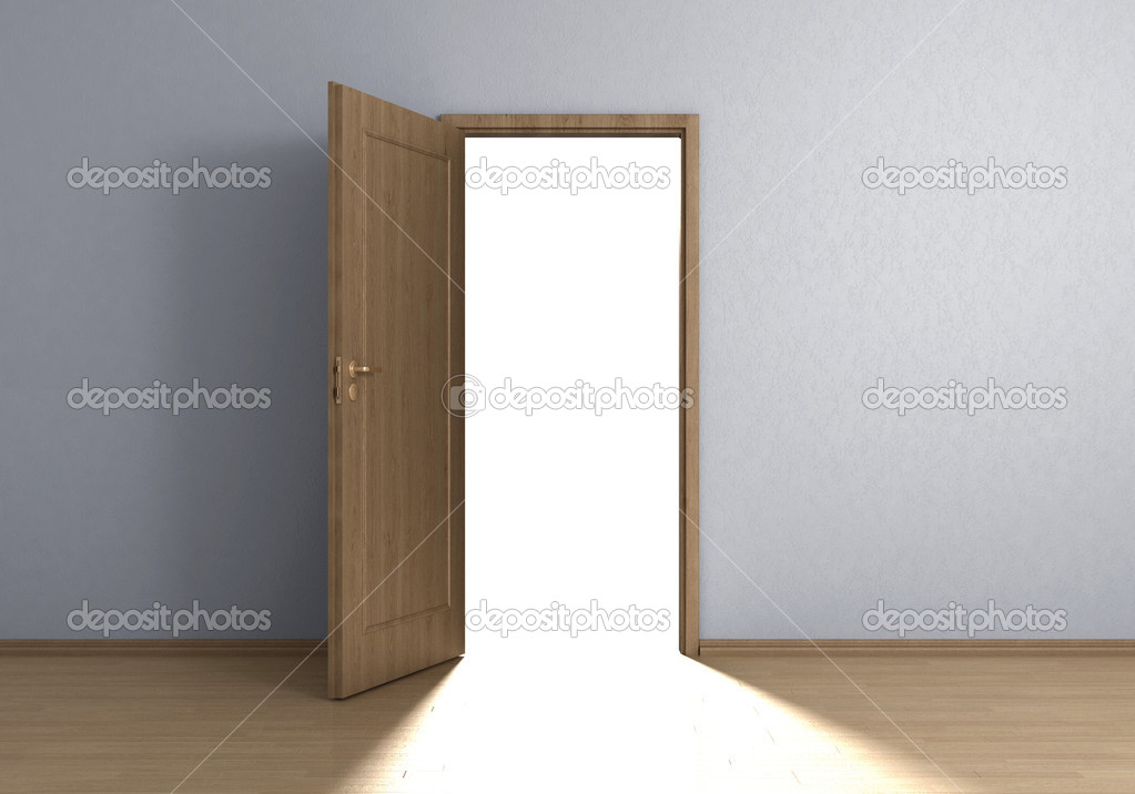Light door