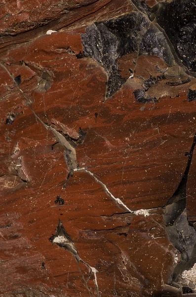 Roccia con consistenza organica marrone — Foto Stock