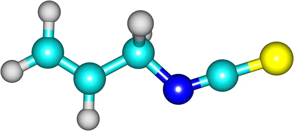 Модель изотиоцианата Элли - васаби — стоковое фото
