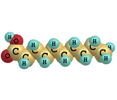 decanoic (capric) asit molekülü üzerinde beyaz izole