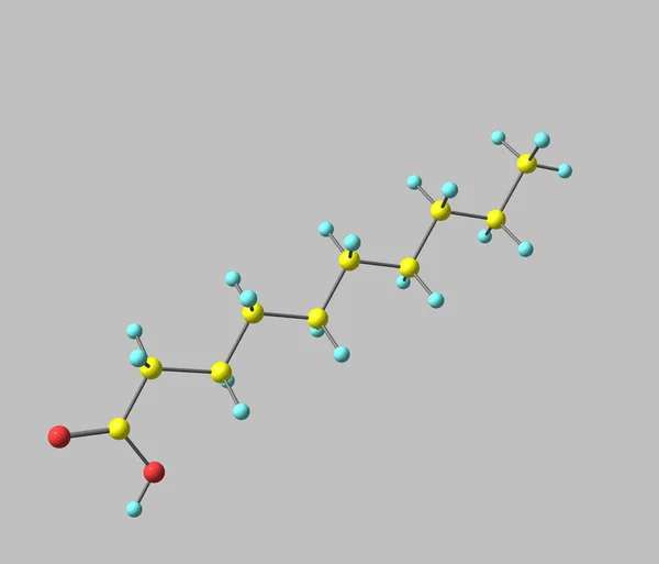 (capric) dekanové kyseliny molekula izolovaných na šedé — Stock fotografie