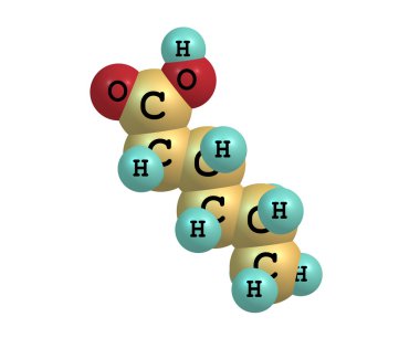Hexanoic (kaproik) asit molekül üzerinde beyaz izole