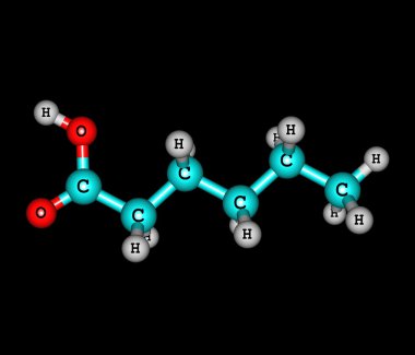 Hexanoic (kaproik) asit molekül siyah izole