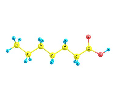 Heptanoic (enanthic) asit molekül üzerinde beyaz izole