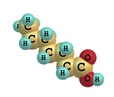 Heptanoic (enanthic) asit molekül üzerinde beyaz izole