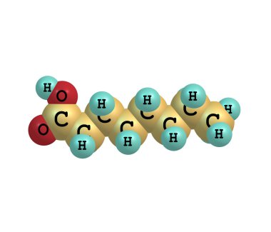 Heptanoic (enanthic) asit molekül üzerinde beyaz izole