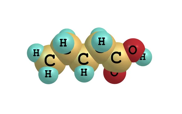 Valeric (pentanoic) syrliga molekylen isolerad på vit — Stockfoto