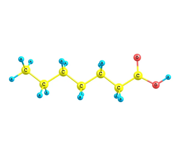 Molécula de ácido heptanoico (enántico) aislada en blanco — Foto de Stock