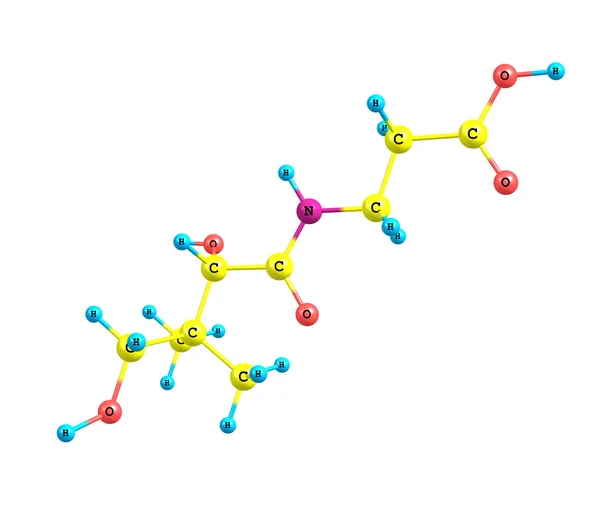 Structure moléculaire de l'acide pantothénique (vitamine B5) sur fond blanc — Photo