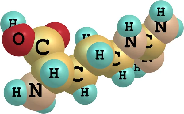 Estrutura molecular da arginina sobre fundo branco — Fotografia de Stock