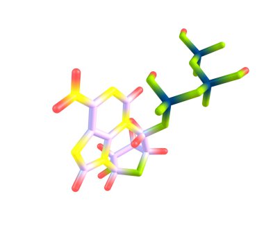 Adenozin trifosfat (atp) molekülü üzerinde beyaz izole