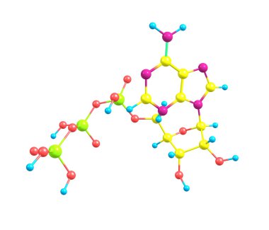 Adenozin trifosfat (atp) molekülü üzerinde beyaz izole