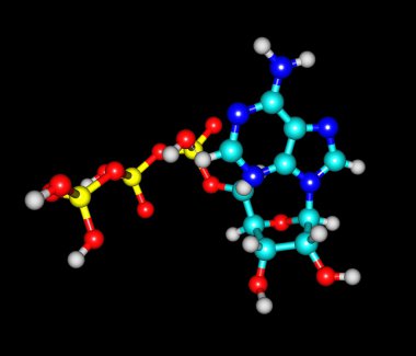 Adenosine triphosphate (ATP) molecule isolated on black clipart