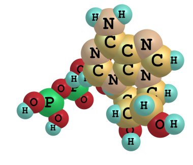 Adenozin trifosfat (atp) molekülü üzerinde beyaz izole