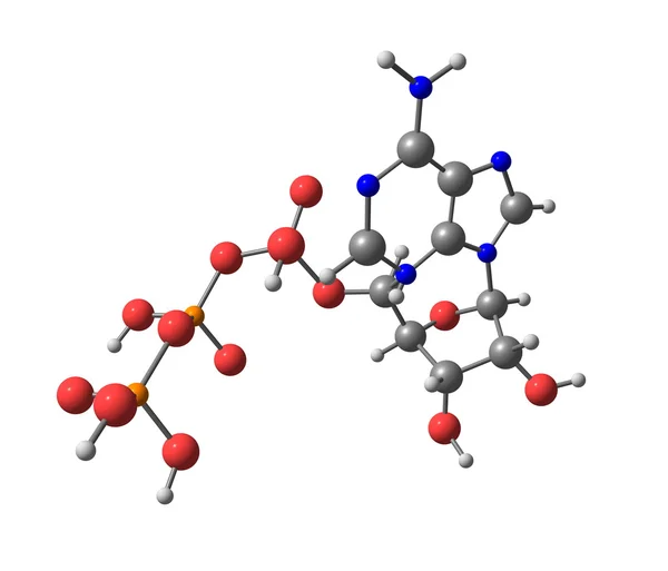 Adenozin trifosfat (atp) molekülü üzerinde beyaz izole