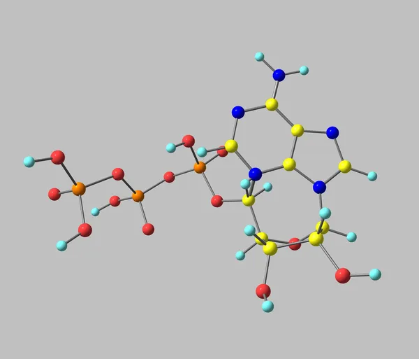 Molécula de trifosfato de adenosina (ATP) isolada em cinza — Fotografia de Stock