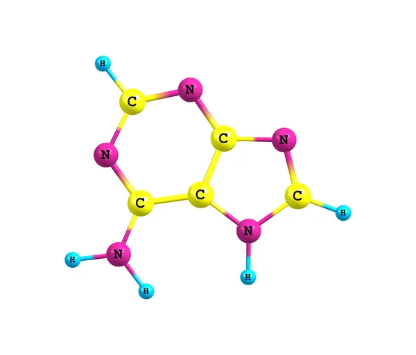 Adenin molekula izolované na bílém — Stock fotografie