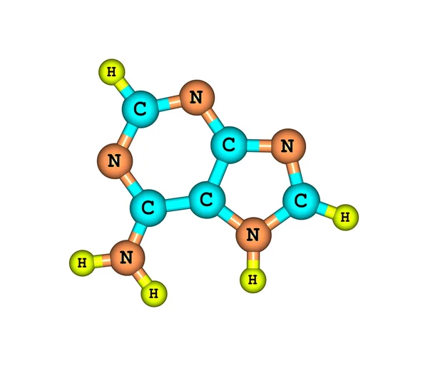 腺嘌呤分子上白色孤立 — 图库照片