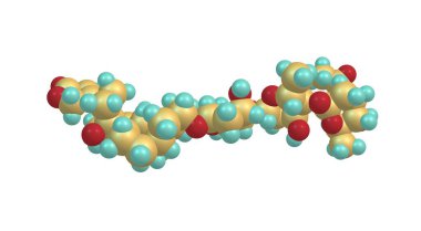 Asetildigitoxin bir kardiyak glikozittir. Digitalis türünün yapraklarında bulunan dijitoksinin asetil türevi. 3d illüstrasyon