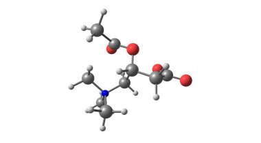 Asetil-L-carnitin, ALCAR veya ALC, L-carnitine 'in asetize edilmiş halidir. Doğal olarak insan vücudu tarafından üretilir ve besin takviyesi olarak kullanılabilir. 3d illüstrasyon