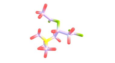 Acetyl-L-carnitine, ALCAR or ALC, is an acetylated form of L-carnitine. It is naturally produced by the human body, and it is available as a dietary supplement. 3d illustration clipart