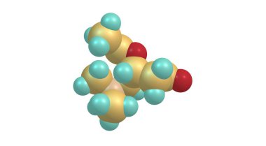 Asetil-L-carnitin, ALCAR veya ALC, L-carnitine 'in asetize edilmiş halidir. Doğal olarak insan vücudu tarafından üretilir ve besin takviyesi olarak kullanılabilir. 3d illüstrasyon
