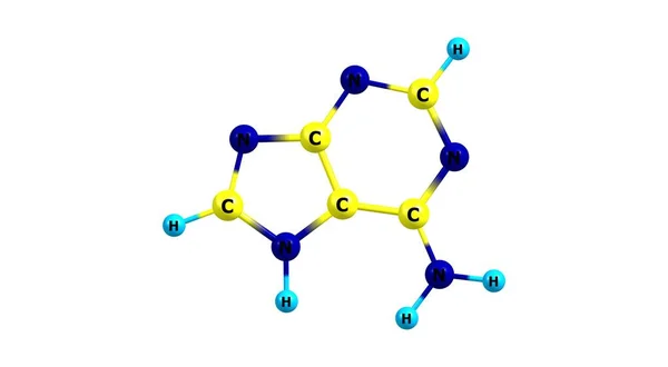 アデニン Adenine 純粋な誘導体であるヌクレオベースである Dnaの核酸の4つの核酸の1つである 3Dイラスト — ストック写真