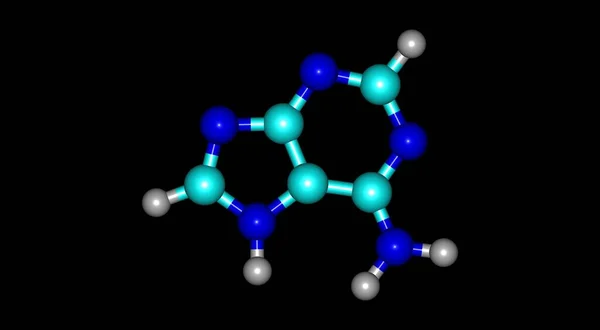 Adenina Una Nucleobasi Derivato Purinico Una Delle Quattro Basi Dell — Foto Stock