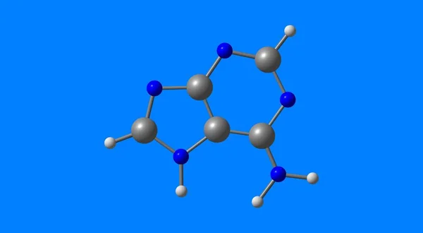 Adenina Una Nucleobasi Derivato Purinico Una Delle Quattro Basi Dell — Foto Stock