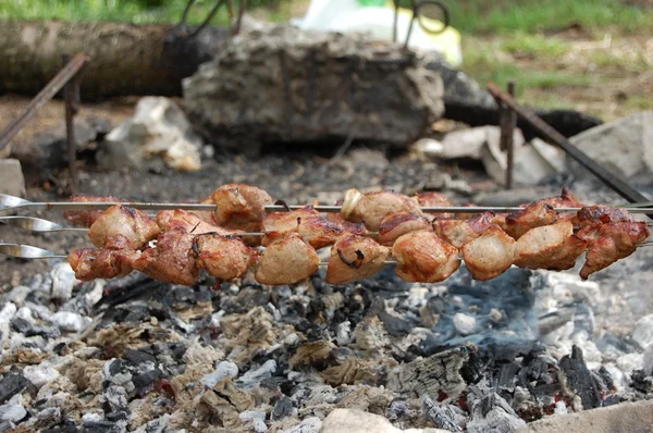 Shashlik saboroso — Fotografia de Stock