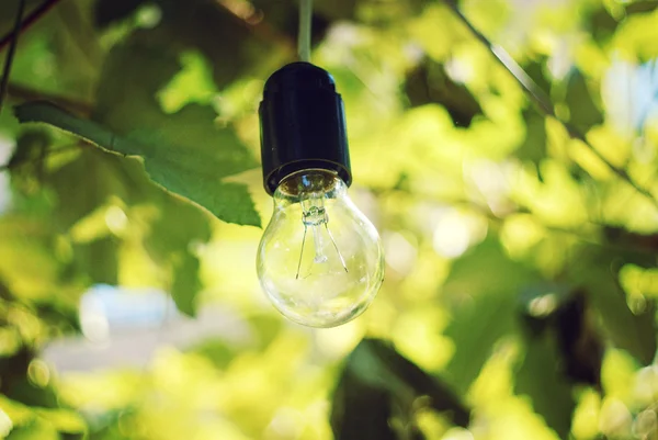 ツリー上の風景電球 — ストック写真