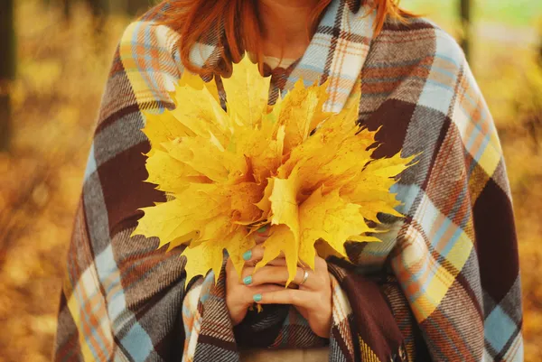 Leaves and a warm blanket in girl's arms — Stock Photo, Image