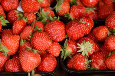 kare plastik sepetler içinde görüntülenen çilek