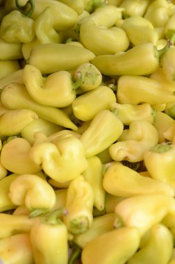 kesintisiz sarı kırmızı biber desen