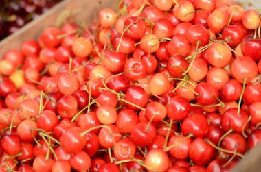 taze kiraz arka plan