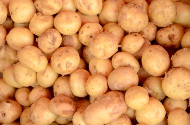 taze patates kahverengi desen doku